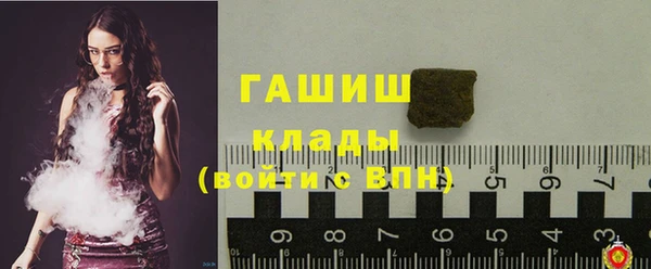стаф Верея