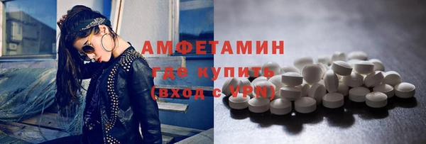 стаф Верея