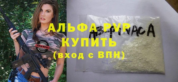 стаф Верея