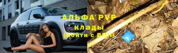 стаф Верея