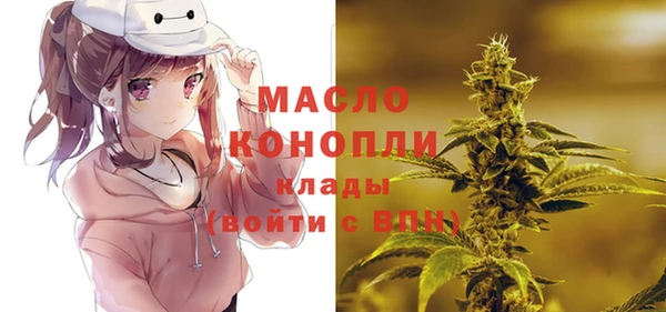 стаф Верея