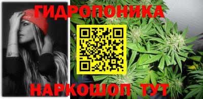 mix Кингисепп