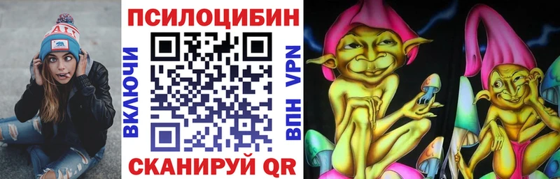 где можно купить   Ноябрьск  Псилоцибиновые грибы GOLDEN TEACHER 