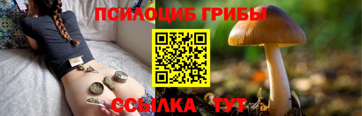 Псилоцибиновые грибы Magic Shrooms Ноябрьск