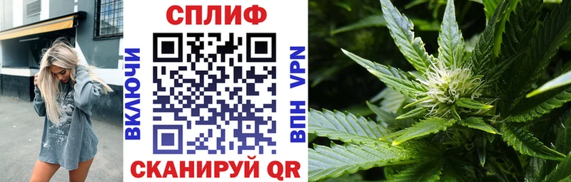 Бошки марихуана OG Kush Ноябрьск